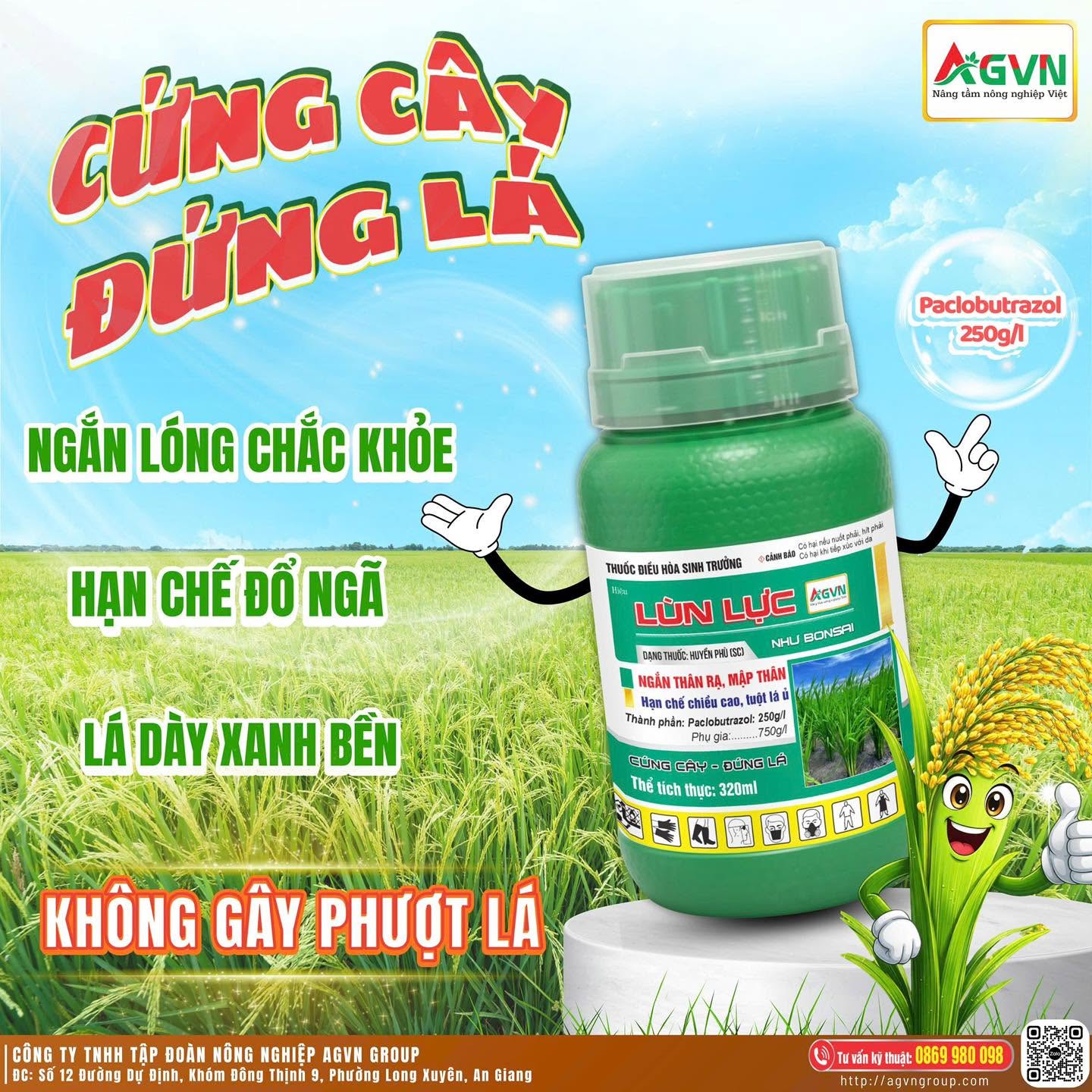 LÙN LỰC