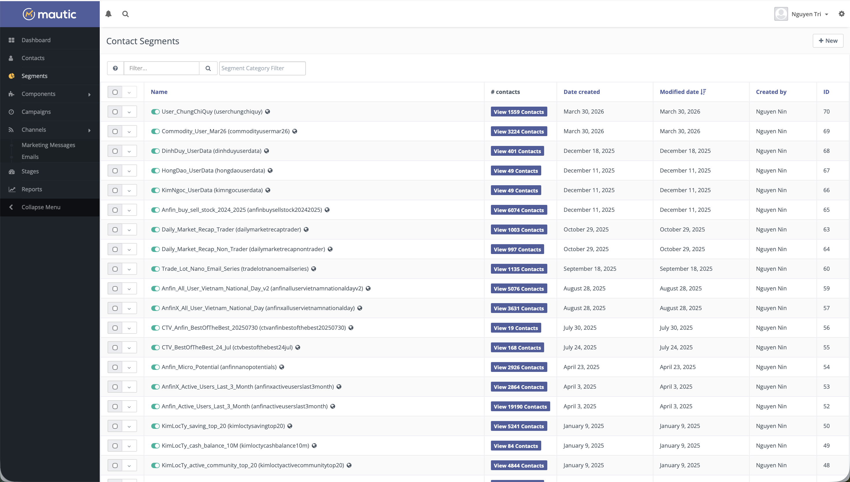 Dynamic Segmentation