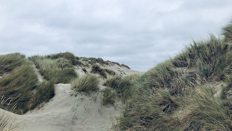 The dunes of Stella @tripser