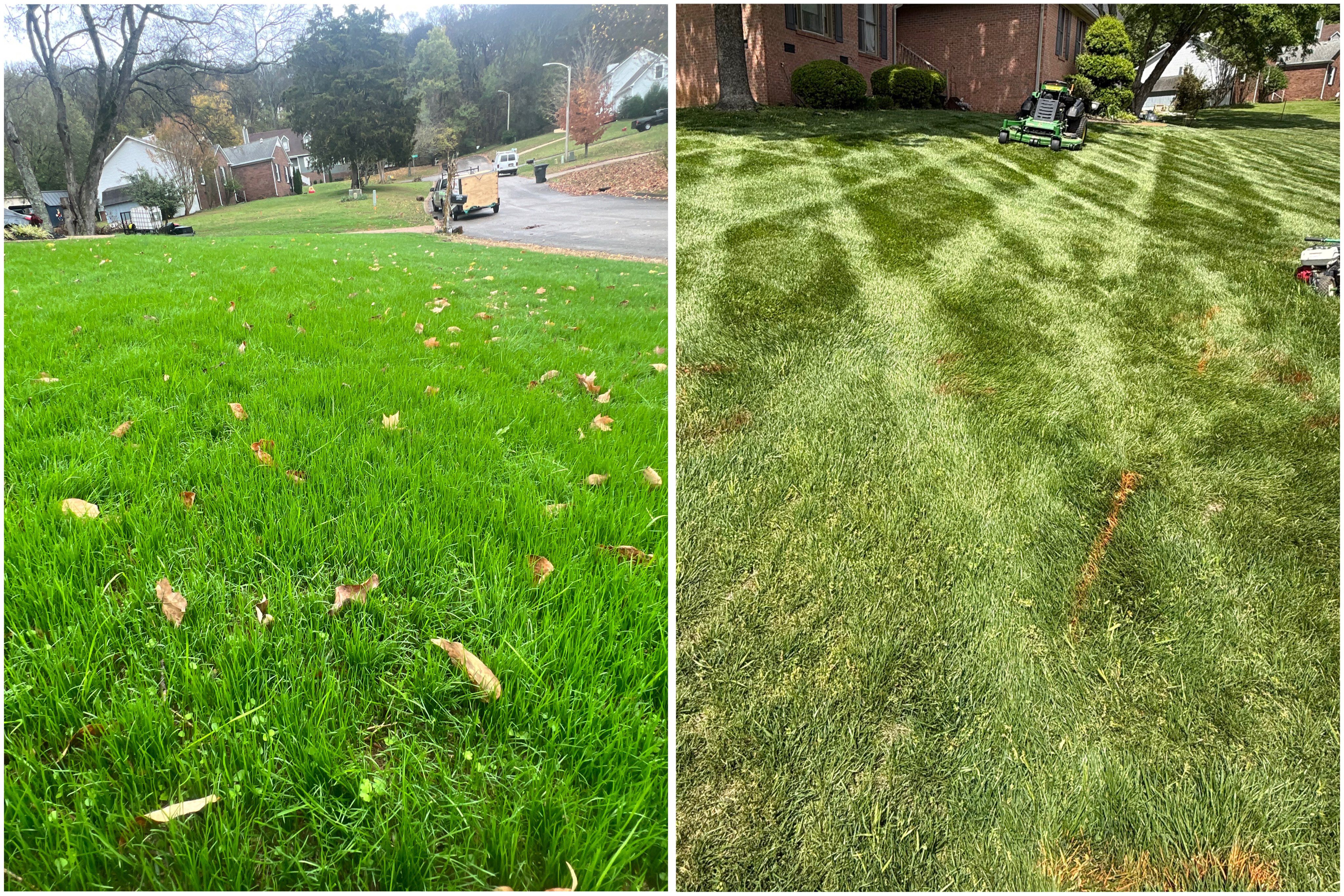 Before and after grass seeding service showing transformation from patchy lawn to lush green turf by HB Lawncare