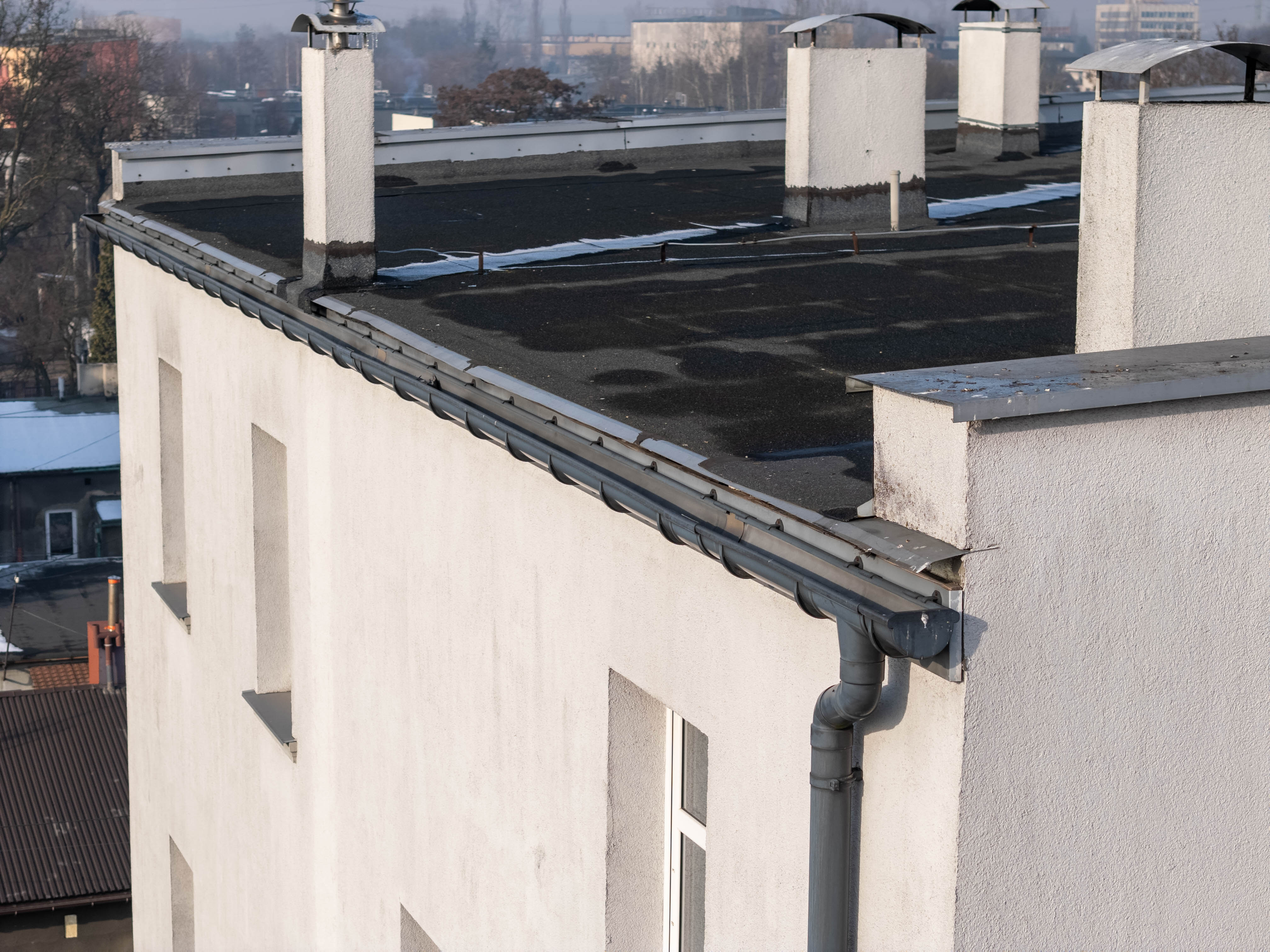 Smolna 8