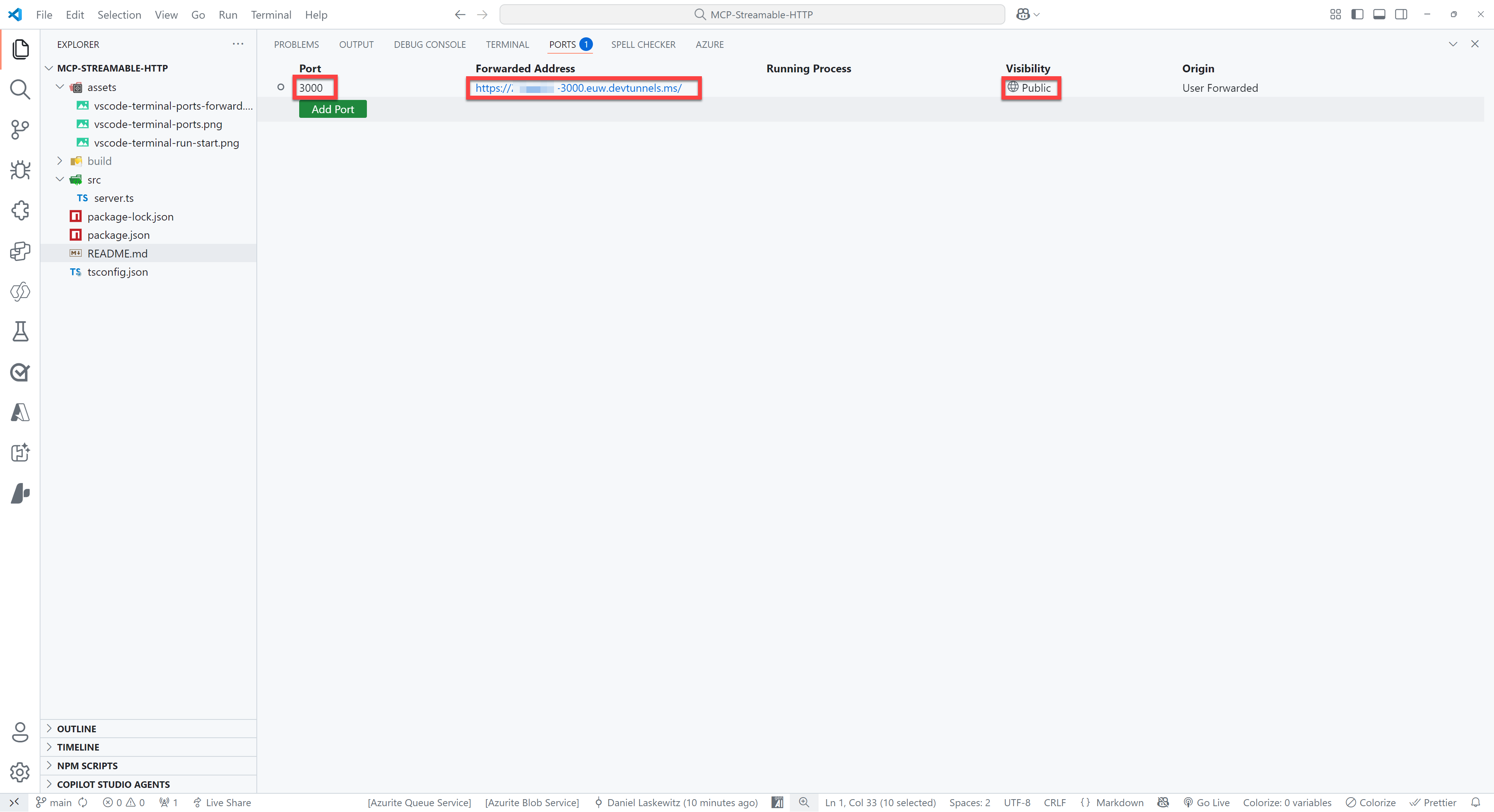 View of the PORTS setup with highlighted the port, the forwarded address and the visibility