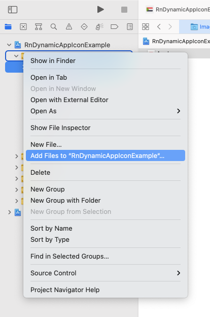 iOS, Add files to you project selection