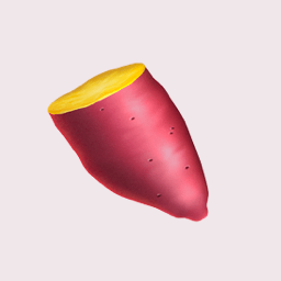 YAM logo