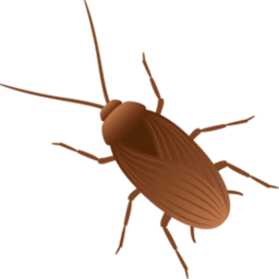 MAGGOT logo