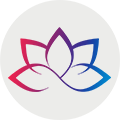 IDHUB logo