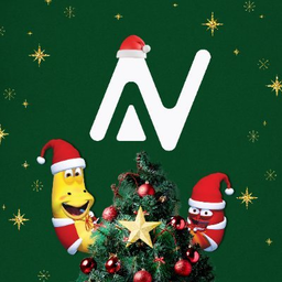 ANV logo