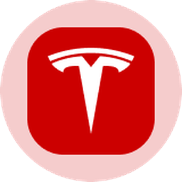 Tesla (Ondo Tokenized)