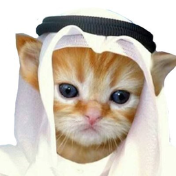 HABIBICAT