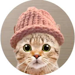 CatWifHat