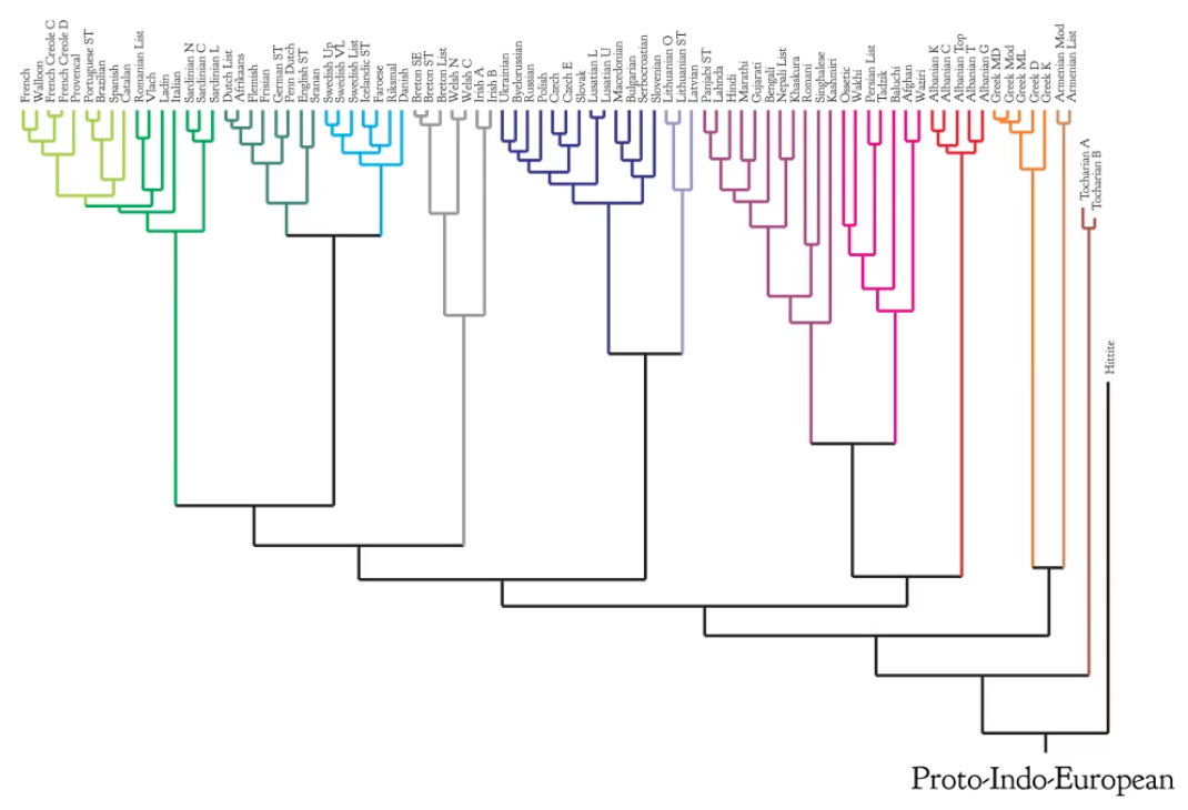 phylogenetic