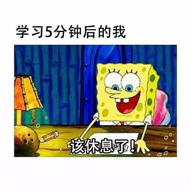 学习5分钟后的我