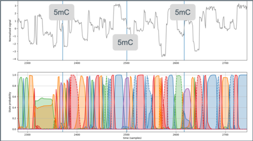 nanopore trace with 5 bases