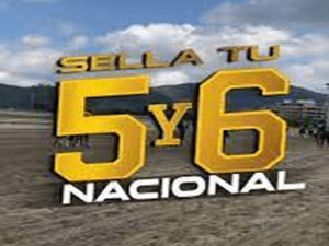 5y6 Nacional