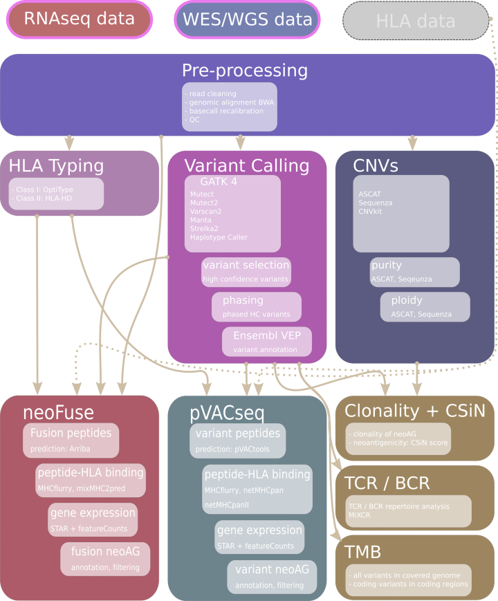 nextNEOpi overview