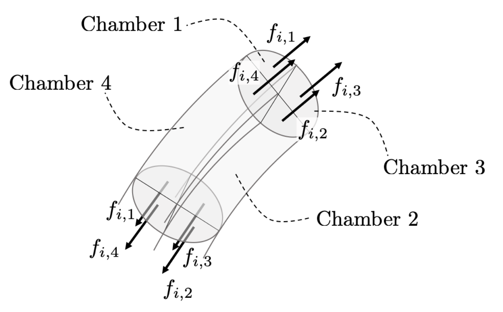 Chamber numbering convention used in this repository for the four-chamber per segment case. The figure is adapted from [1].