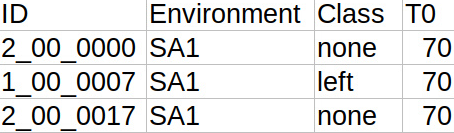 A snapshot of the first elements of the datalog table