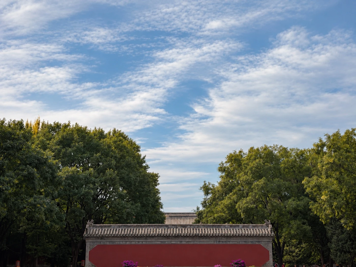 A · Red Wall Soft Sky