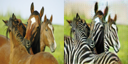 Horse to zebra example