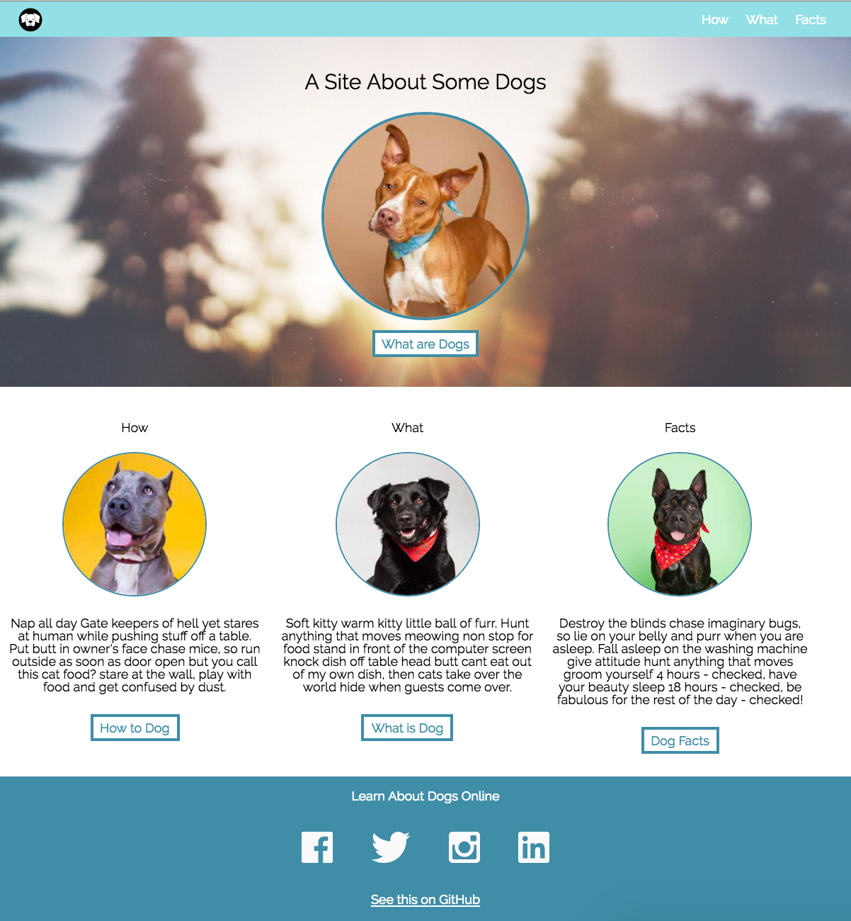 Image of Dog Party Site