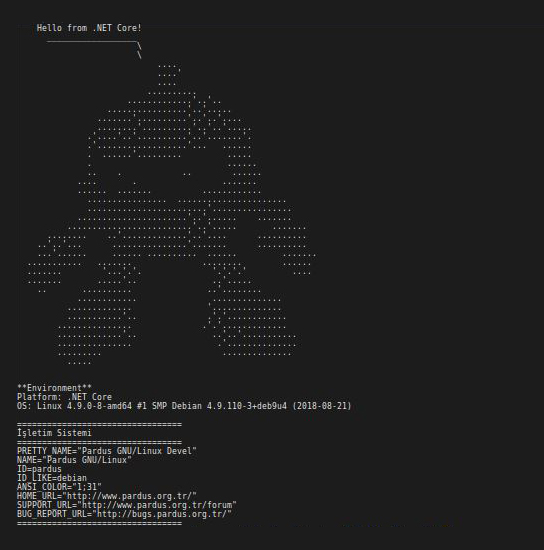 pardus-dotnetcore:2.2.104-sdk-ornek