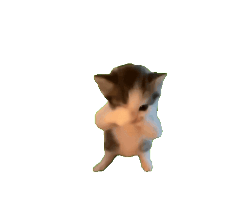 Meow