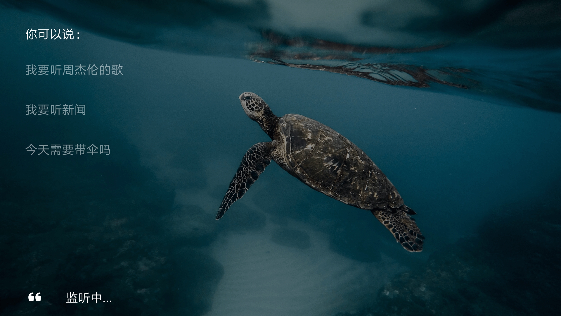 fragment平级内容