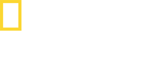 national-geographic-wild