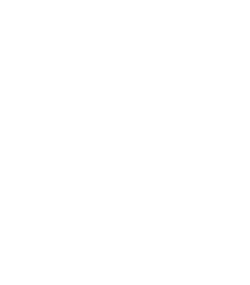 village-cinema