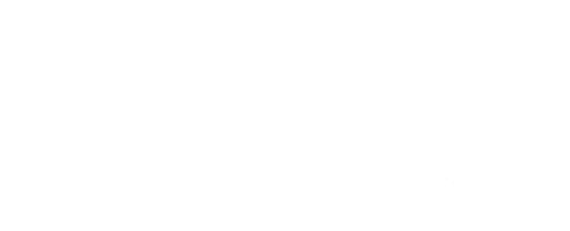 sky-sports-the-lions-bug