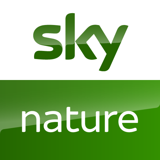 sky-nature-icon