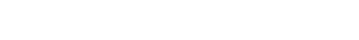 ELEVEN 5