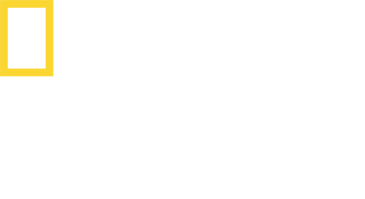 USA: Nat Geo Wild