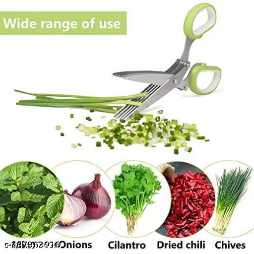 5 LAYER BLADE OF STAINLESS STEEL KITCHEN SCESSOR - Easylife