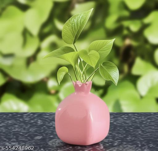 Pink Anar Vase - Zeyoria