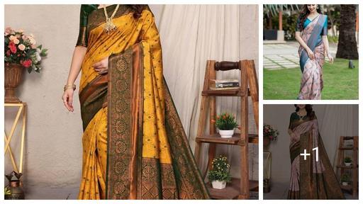 Multi Coloured kanjivaram Silk Saree