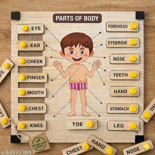 Educational Body Parts Wooden Puzzle for Toddlers, Montessori Human Anatomy Board, Visual Learning Aid for Preschoolers, Safe Early Learning - Billionairekart