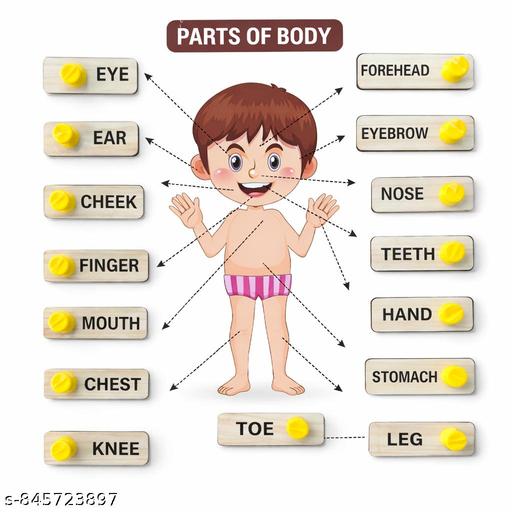 Educational Body Parts Wooden Puzzle for Toddlers, Montessori Human Anatomy Board, Visual Learning Aid for Preschoolers, Safe Early Learning - Billionairekart