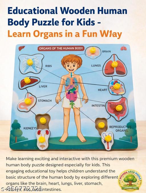 3D Human Body Organs Wooden Peg Puzzle – Early Learning Educational Toy for Boys & Girls - Billionairekart