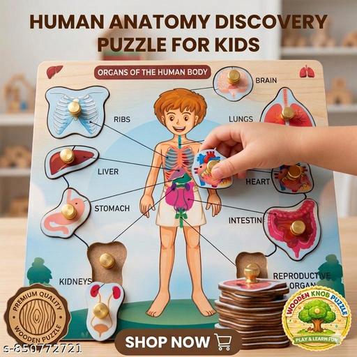 3D Human Body Organs Wooden Peg Puzzle – Early Learning Educational Toy for Boys & Girls - Billionairekart