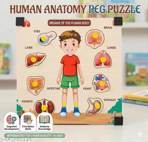 Montessori Science Anatomy Puzzle - Realistic Human Organ Shapes for Kids - Billionairekart