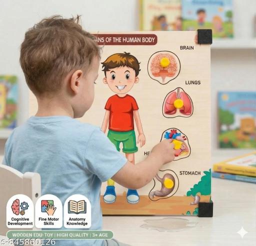 Montessori Science Anatomy Puzzle - Realistic Human Organ Shapes for Kids - Billionairekart
