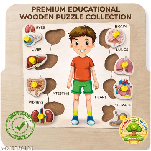Montessori Science Anatomy Puzzle - Realistic Human Organ Shapes for Kids - Billionairekart