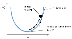 Stochastic Gradient Descent