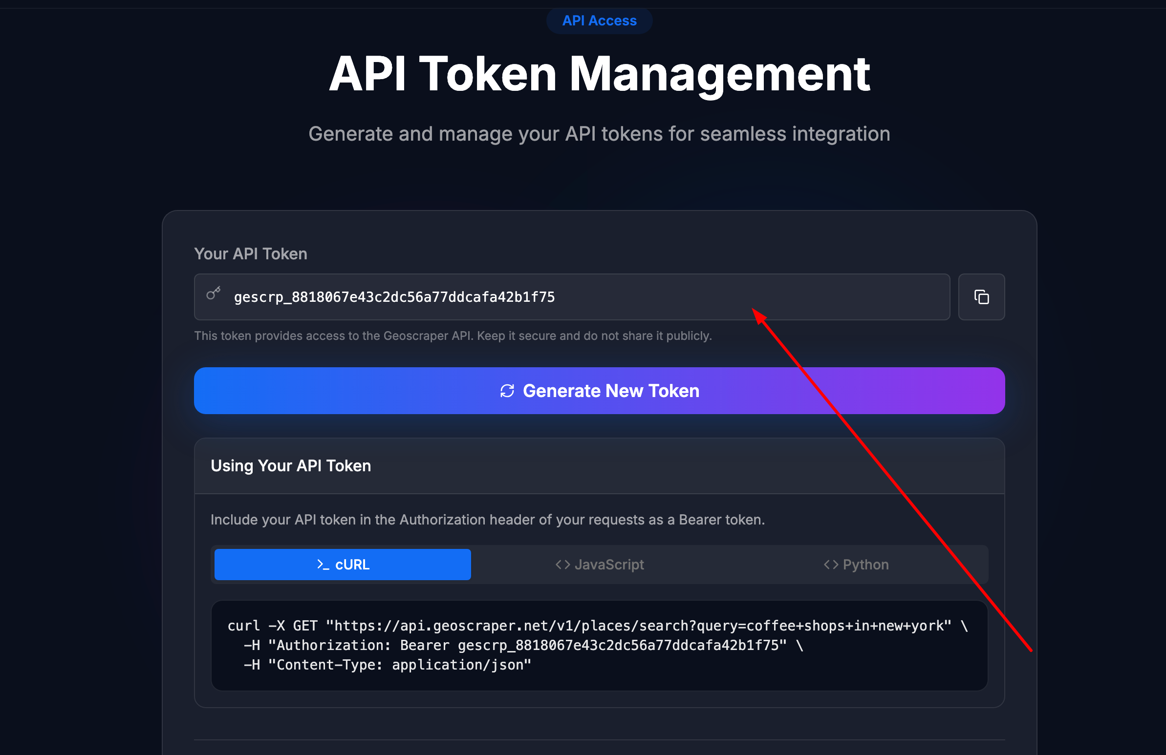 Copy your API token from the GeoScraper dashboard