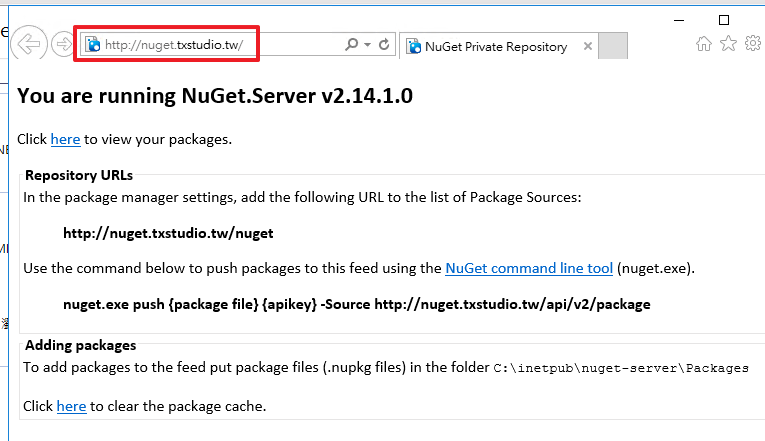 nuget server default page
