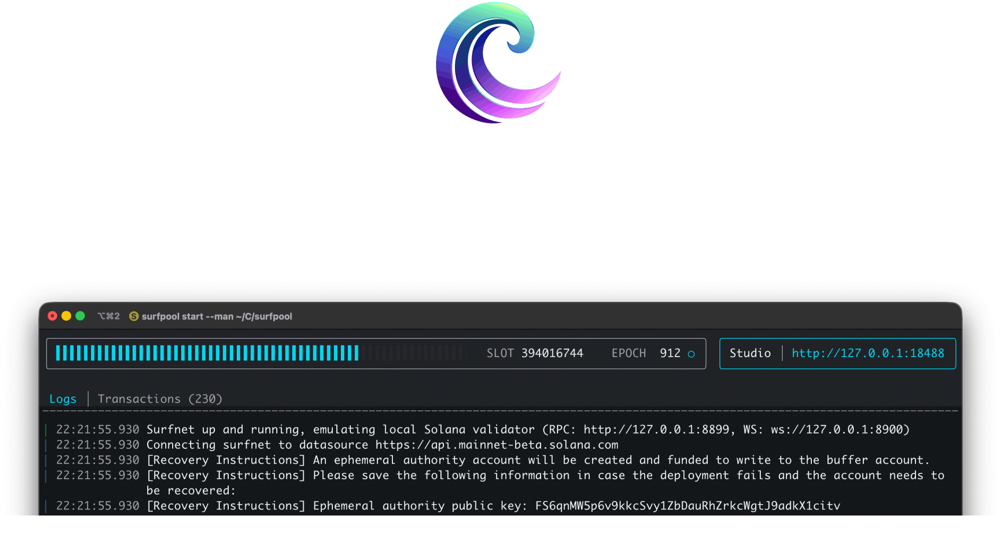 GitHub - txtx/surfpool: Surfpool is where developers start their Solana  journey.