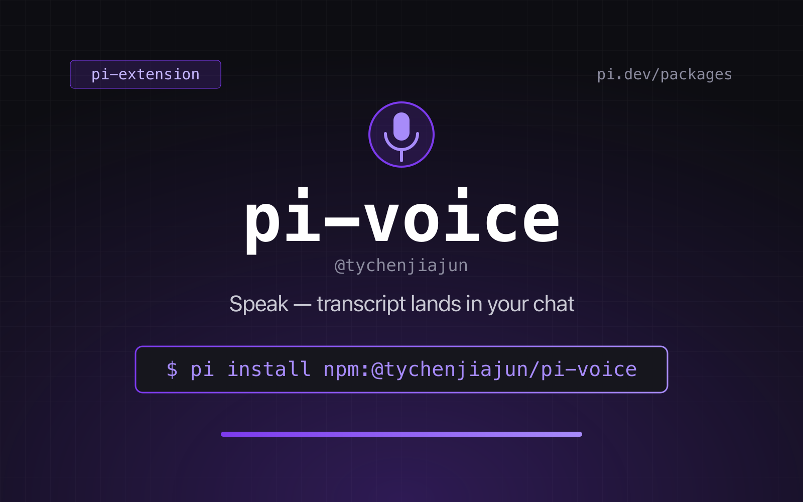 pi-voice promo card