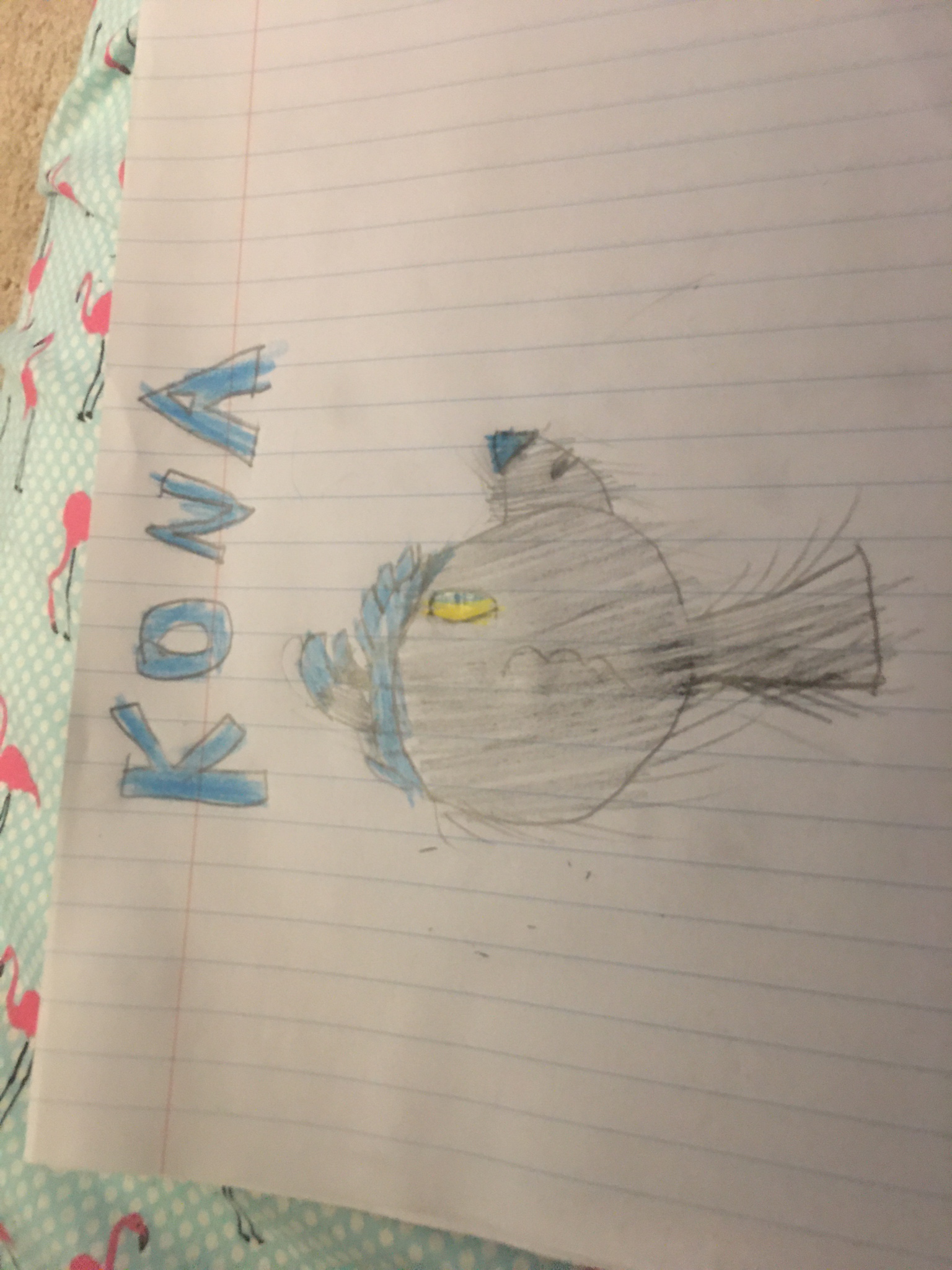 Kona by r/fdddc_