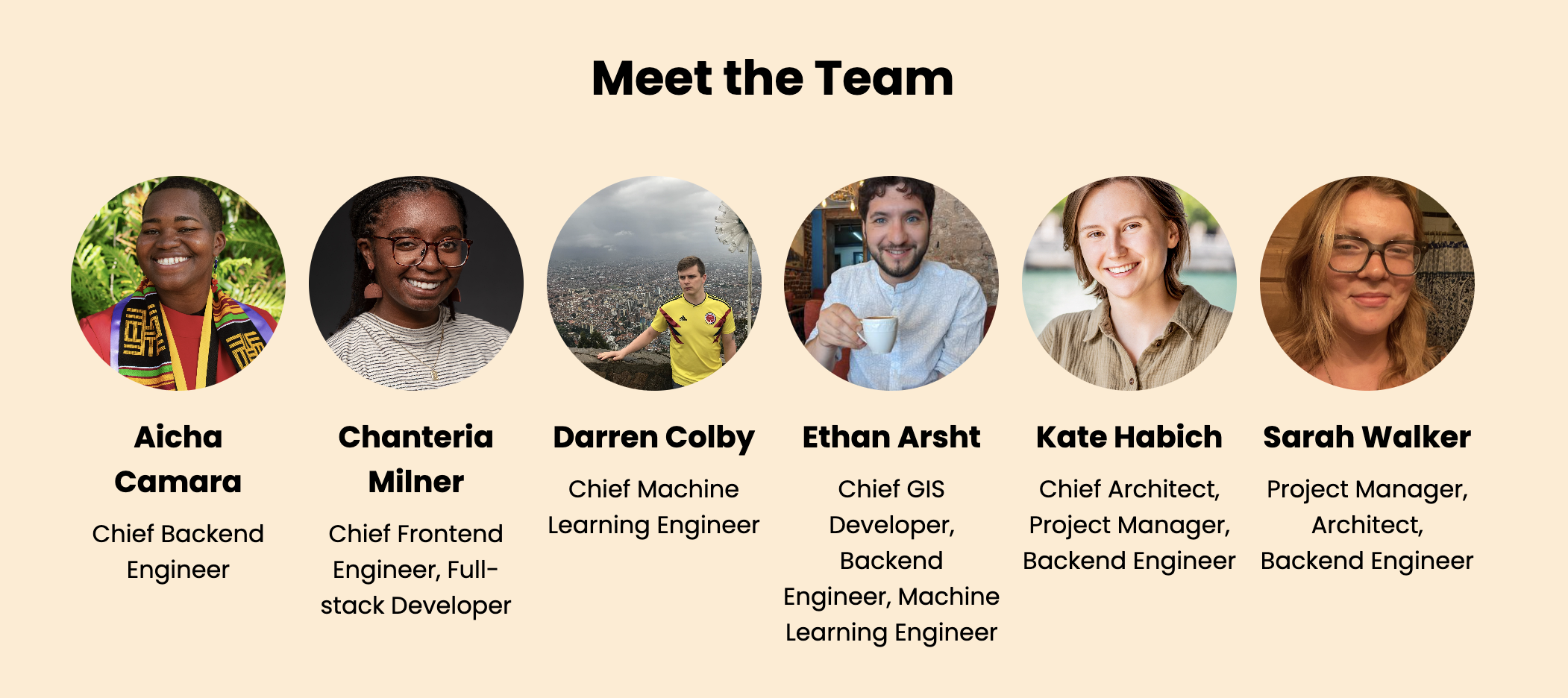 Meet the Team